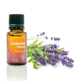 Essential Oil - Lavender