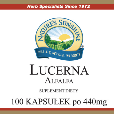 Lucerna (100 kaps.)