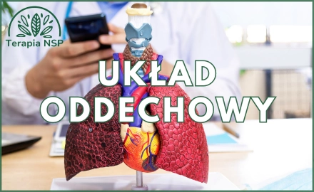 Układ oddechowy