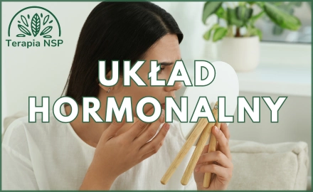 Układ hormonalny