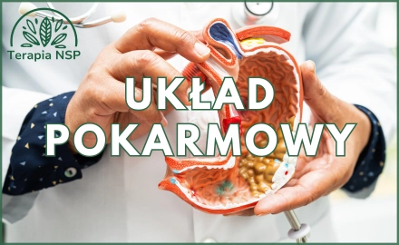 Układ pokarmowy